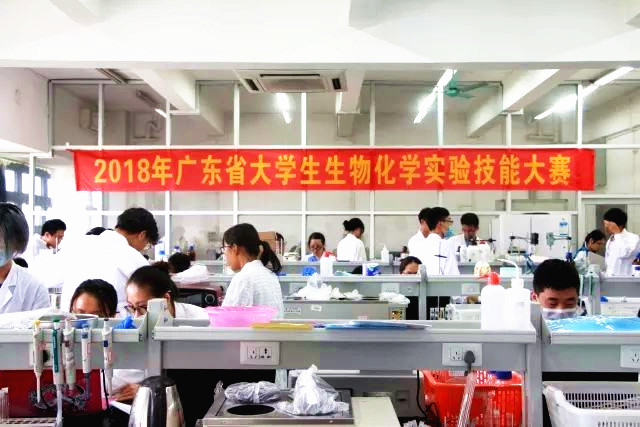 蘑菇视频
学生荣获广东省生物化学实验技能大赛二等奖02.jpg
